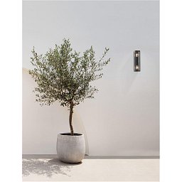 Venkovní nástěnné svítidlo REGINA antracitový hliník a čiré sklo E27 2x12W 220-240V bez žárovky IP65 - NOVA LUCE Obrázek pro produkt Venkovní nástěnné svítidlo REGINA antracitový hliník a čiré sklo E27 2x12W 220-240V bez žárovky IP65 - NOVA LUCE