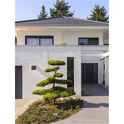 Venkovní nástěnné svítidlo PARRIS antracitový hliník a čiré sklo LED 8.6W 3000K 220-240V 101st. IP65 - NOVA LUCE Obrázek pro produkt Venkovní nástěnné svítidlo PARRIS antracitový hliník a čiré sklo LED 8.6W 3000K 220-240V 101st. IP65 - NOVA LUCE