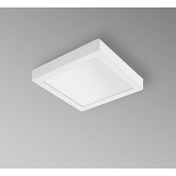 LED stropní a nástěnné svítidlo PL-QUADRO 220x220X38mm 18W 3000K 120d IP20 - CENTURY Obrázek pro produkt LED stropní a nástěnné svítidlo PL-QUADRO 220x220X38mm 18W 3000K 120d IP20 - CENTURY