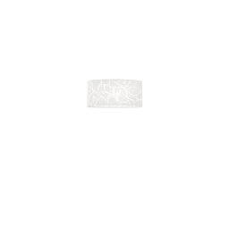Nástěnné svítidlo Growler bílý PMMA, CCT 3000/4000/6500 K, 30 x 15 x 8 cm - FANEUROPE Obrázek pro produkt Nástěnné svítidlo Growler bílý PMMA, CCT 3000/4000/6500 K, 30 x 15 x 8 cm - FANEUROPE