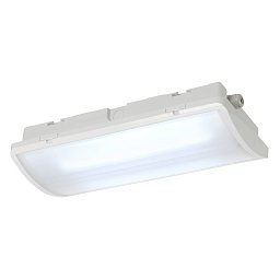 P-LIGHT Emergency areal light, bílá - BIG WHITE (SLV) Obrázek pro produkt P-LIGHT Emergency areal light, bílá - BIG WHITE (SLV)