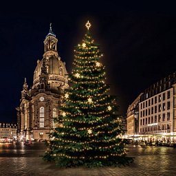 LED světelná sada na stromy vysoké 18-20m, teplá bílá s dekory EFD05W Obrázek pro produkt LED světelná sada na stromy vysoké 18-20m, teplá bílá s dekory EFD05W
