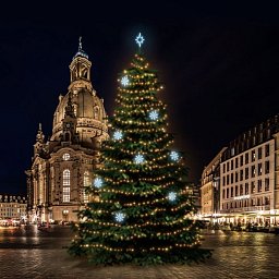 LED světelná sada na stromy vysoké 18-20m, teplá bílá s ledově bílými dekory 8EFD08 Obrázek pro produkt LED světelná sada na stromy vysoké 18-20m, teplá bílá s ledově bílými dekory 8EFD08