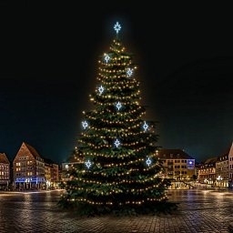 LED světelná sada na stromy vysoké 21-23m, teplá bílá s ledově bílými dekory EFD09S2 Obrázek pro produkt LED světelná sada na stromy vysoké 21-23m, teplá bílá s ledově bílými dekory EFD09S2