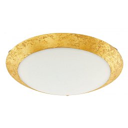 Stropní svítidlo MONTENOVO 98023 - EGLO Obrázek pro produkt Stropní svítidlo MONTENOVO 98023 - EGLO