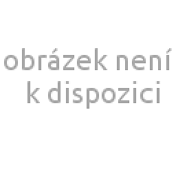 Obrázek pro produkt Dálkový ovladač pro Zigbee CCT/RGBW - BIG WHITE (SLV)