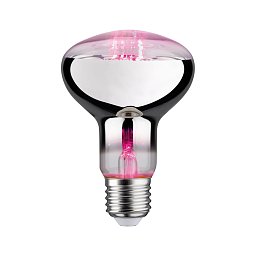 Obrázek pro produkt LED Grow Green lampa pro rostliny R80 E27 6,5 W - PAULMANN