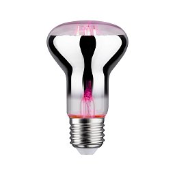 Obrázek pro produkt LED Grow Green lampa pro rostliny R63 E27 6,5 W - PAULMANN