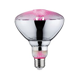 Obrázek pro produkt LED Grow Green reflektor lampa pro rostliny 6,5 W E27 na růst rostlin - PAULMANN