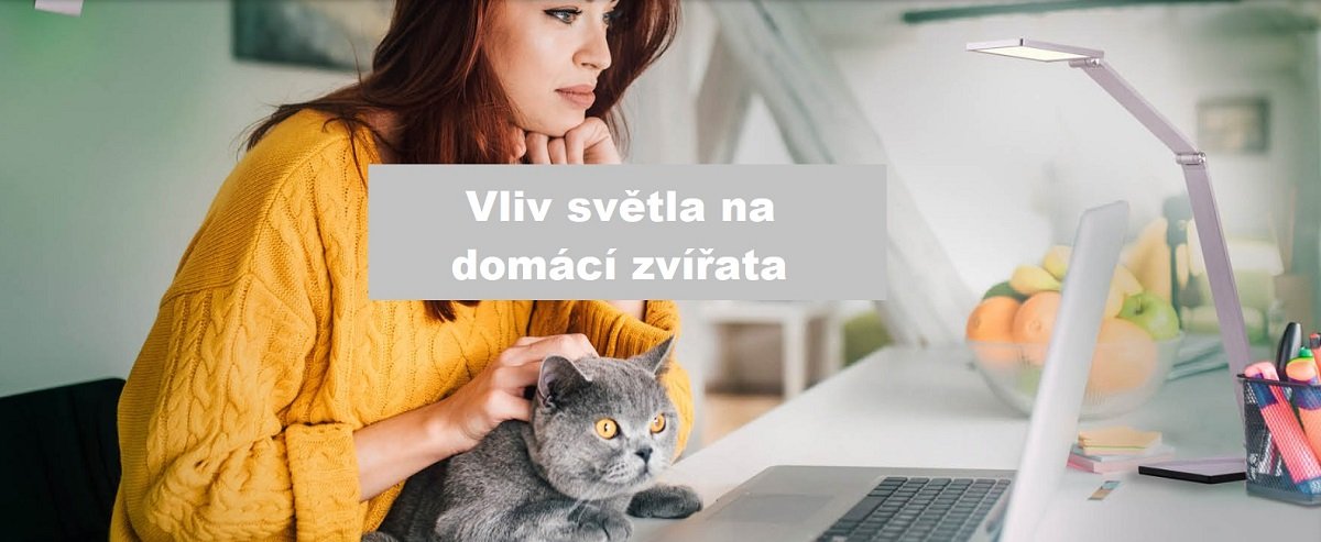 Domácí zvířata a svítidla s denním světlem