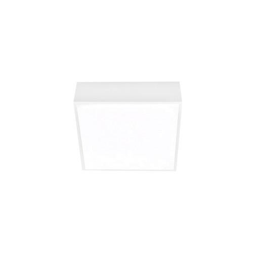 AZZ AZ2780 Falco 12 3000K (white) - AZZARDO