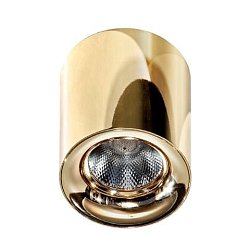 Obrázek pro produkt Mane (gold) - AZZARDO