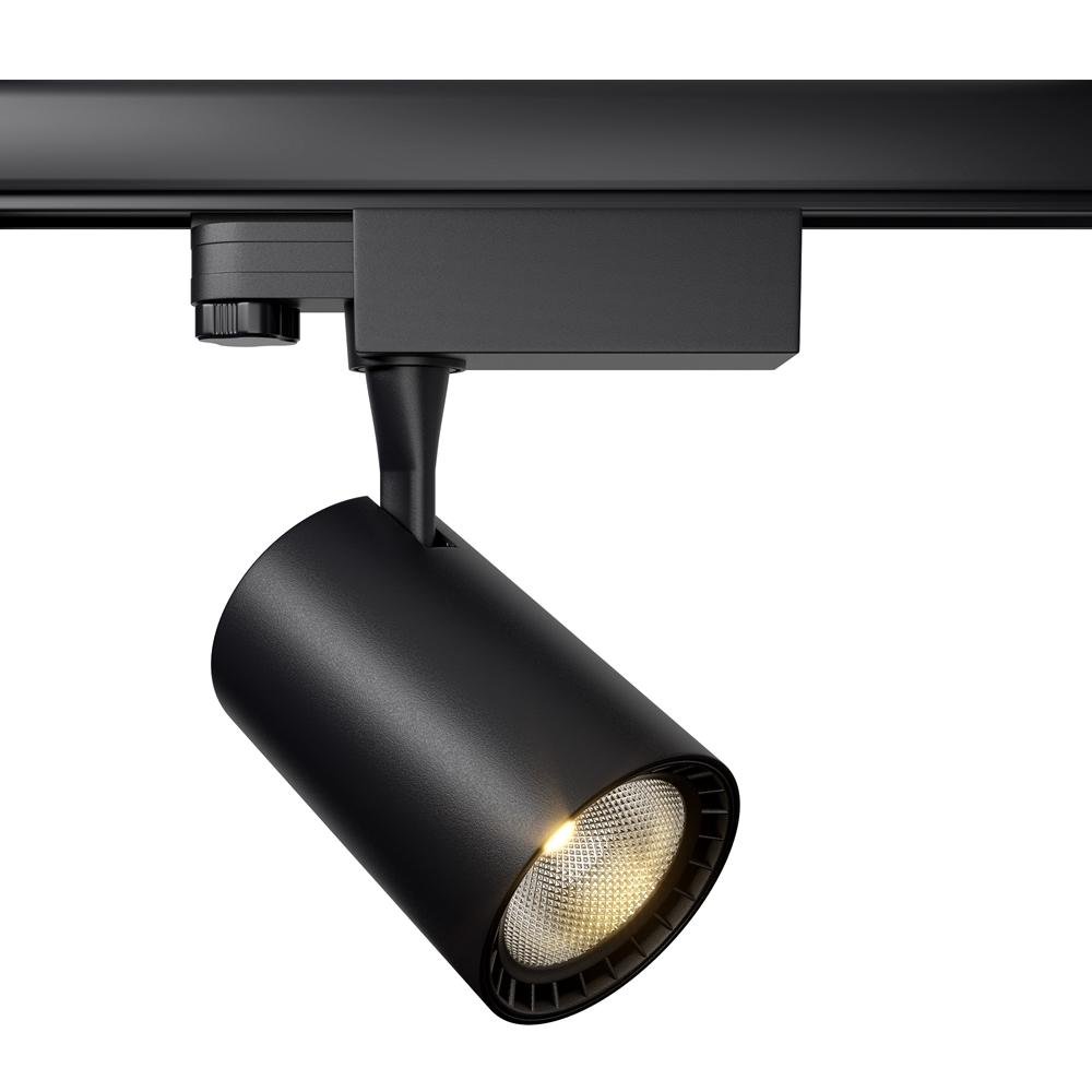 MAYTONI TR029-3-10W4K-B