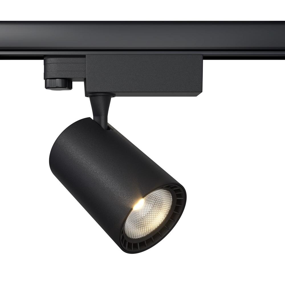 MAYTONI TR029-3-10W3K-B