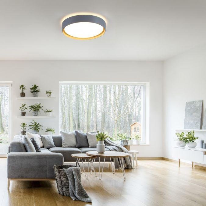 LD 14347-15 LED stropní svítidlo, kruhové, pr. 40 cm, stmívatelné, šedá, dekor dřeva, krokově stmívatelné, 3000K - JUST LIGHT (obrázek 2)