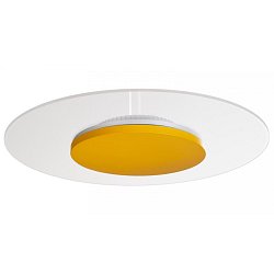 Obrázek pro produkt Deko-Light stropní přisazené svítidlo Zaniah 24W, kryt šafranová žlutá 220-240V AC/50-60Hz 24,00 W 3000 K 2567,93 lm bílá - DEKOLIGHT