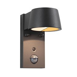 Obrázek pro produkt LED venkovní nástěnné svítidlo Smart Home Zigbee Capea pohybové čidlo neláká hmyz IP44 96x153mm CCT 6W 230V 98° antracit - PAULMANN