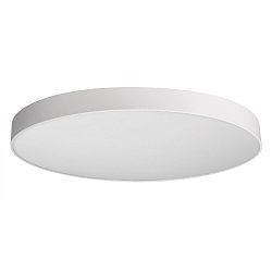 Obrázek pro produkt Deko-Light stropní přisazené svítidlo Menkar 800 mm 92 W 3000/4000 K 7800 lm bílá RAL 9016 - DEKOLIGHT