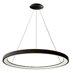 Obrázek pro produkt Deko-Light závěsné svítidlo Merope 800 60W 3000/4000K 4900lm tmavě černá RAL 9005 - LIGHT IMPRESSIONS