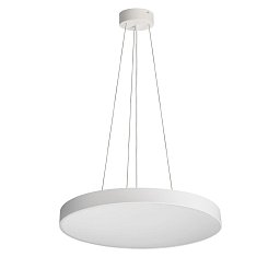 Obrázek pro produkt Deko-Light závěsné svítidlo Menkar 800 mm 92 W 3000/4000 K 7800 lm bílá RAL 9016 - DEKOLIGHT