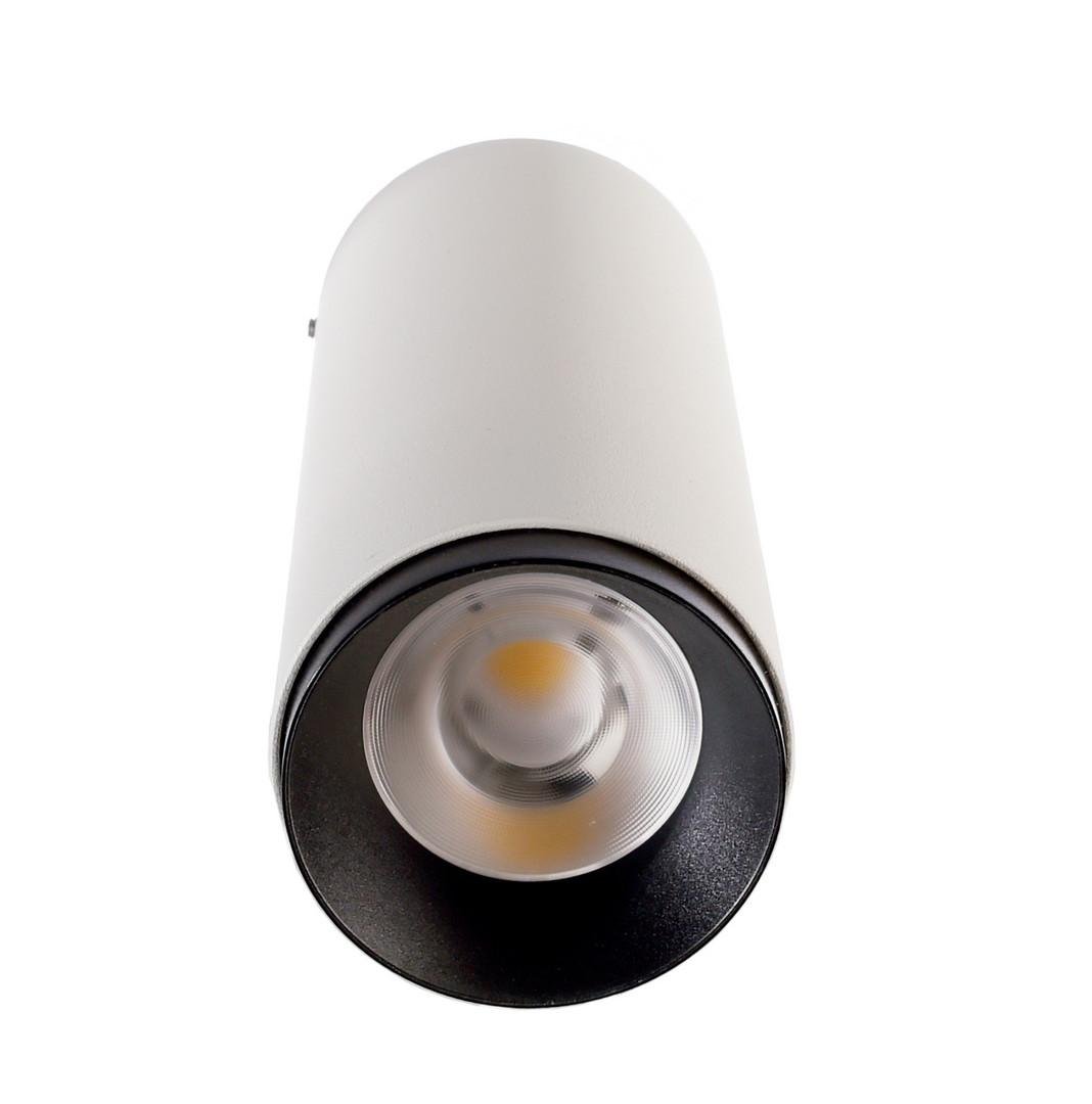 Obrázek produktu Deko-Light stropní přisazené svítidlo Lucea 10 bílá 220-240V AC/50-60Hz 10,00 W 3000/4000 K 1000 lm bílá RAL 9016 - LIGHT IMPRESSIONS 2 Obrázek produktu Deko-Light stropní přisazené svítidlo Lucea 10 bílá 220-240V AC/50-60Hz 10,00 W 3000/4000 K 1000 lm bílá RAL 9016 - LIGHT IMPRESSIONS 2