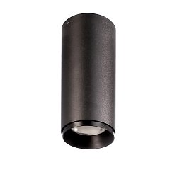 Obrázek pro produkt Deko-Light stropní přisazené svítidlo Lucea 10 černá 220-240V AC/50-60Hz 10,00 W 3000/4000 K 1000 lm tmavě černá RAL 9005 - DEKOLIGHT