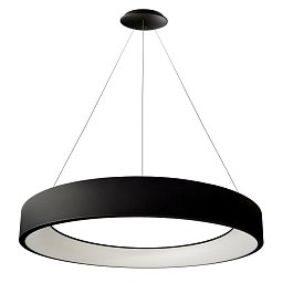 Obrázek pro produkt Deko-Light závěsné svítidlo Sculptoris 800 mm, 60,0 W, 3000/4000 K, černá 220-240V AC/50-60Hz 60,00 W 3000/4000 K 4100 lm tmavě černá RAL 9005 - LIGHT IMPRESSIONS