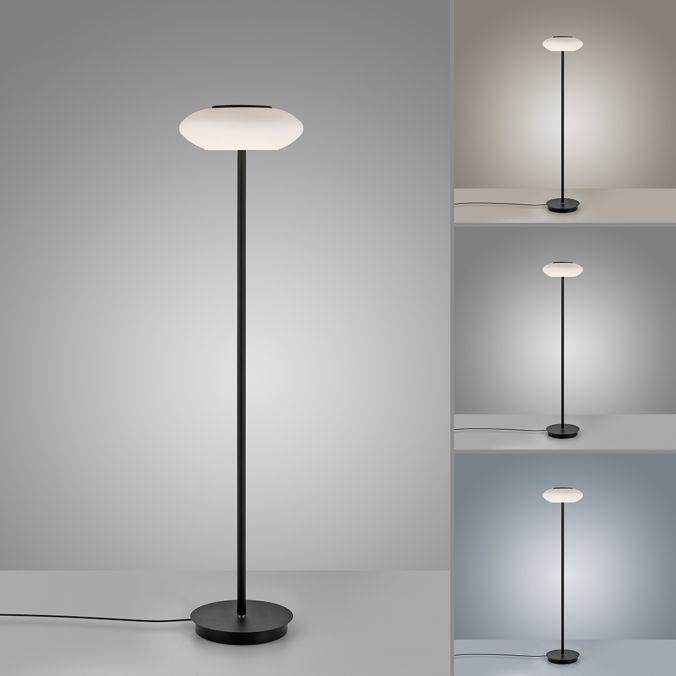 PN 271-18 Paul Neuhaus Q ETIENNE LED stojací svítidlo Smart Home černá stmívatelné CCT ZigBee 2700-5000K - PAUL NEUHAUS (obrázek 4)