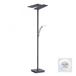 Obrázek pro produkt ARTUR LED stojací lampa antracit, nastavitelná, stmívatelná, čtecí rameno, CCT paměť 2700-5000K - PAUL NEUHAUS