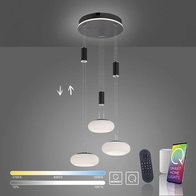 PN 2078-18 Q-ETIENNE Q závěsné svítidlo Smart Home, černá, kruhové, 3 ramenné ZigBee 2700-5000K - PAUL NEUHAUS (obrázek 8)