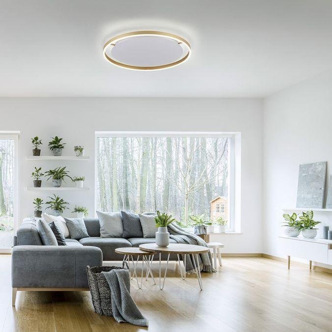 LD 15392-60 RITUS LED stropní svítidlo, matná mosaz, kruhové pr.60cm, stmívatelné, Switchmo, teplá bílá krokově stmívatelné 3000K - LEUCHTEN DIREKT / JUST LIGHT (obrázek 2)