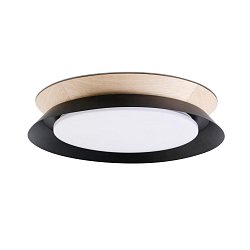 Obrázek pro produkt TENDER LED stropní svítidlo, černá - FARO