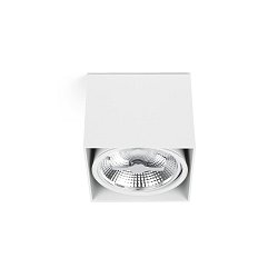 Obrázek pro produkt TECTO-1 stropní svítidlo, bílá, AR111 - FARO
