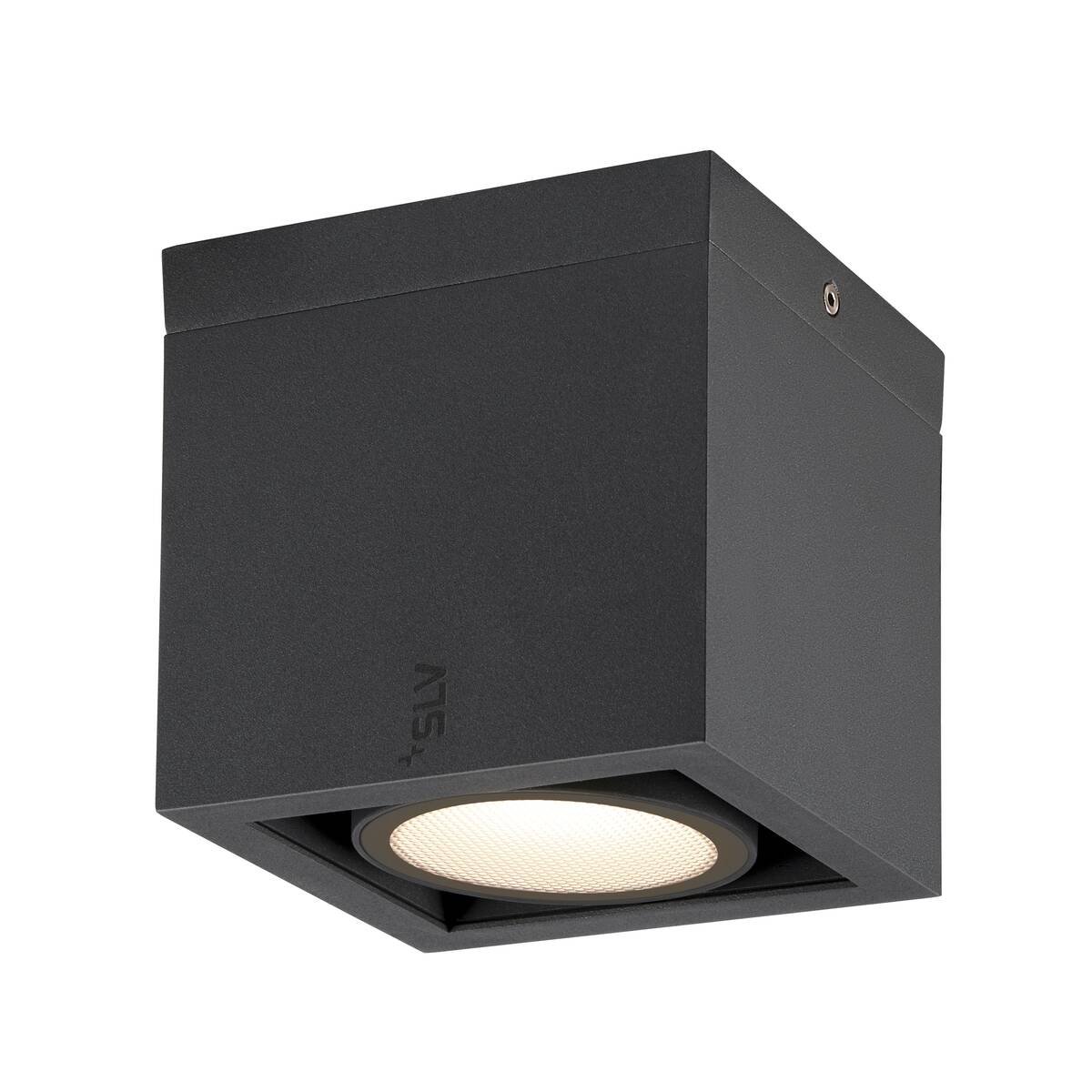 LA 1006316 ESKINA FRAME CL single stropní přisazené svítidlo antracit 15 W 1100/1200 lm 3000/4000 K CRI80 95° - BIG WHITE (SLV)