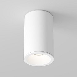 Obrázek pro produkt Stropní svítidlo Zoom C029CL-01-S-W - MAYTONI