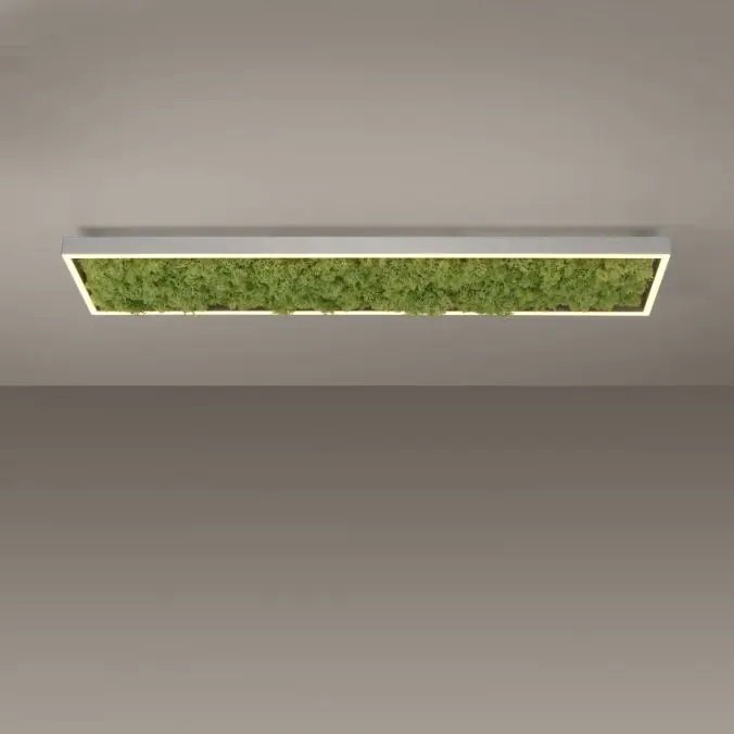 LD 15623-66 Stropní svítidlo GREEN KNUT LED 30W 3000K islandský mech akustické - LEUCHTEN DIREKT / JUST LIGHT