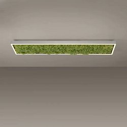 Obrázek pro produkt Stropní svítidlo GREEN KNUT LED 30W 3000K islandský mech akustické - LEUCHTEN DIREKT / JUST LIGHT