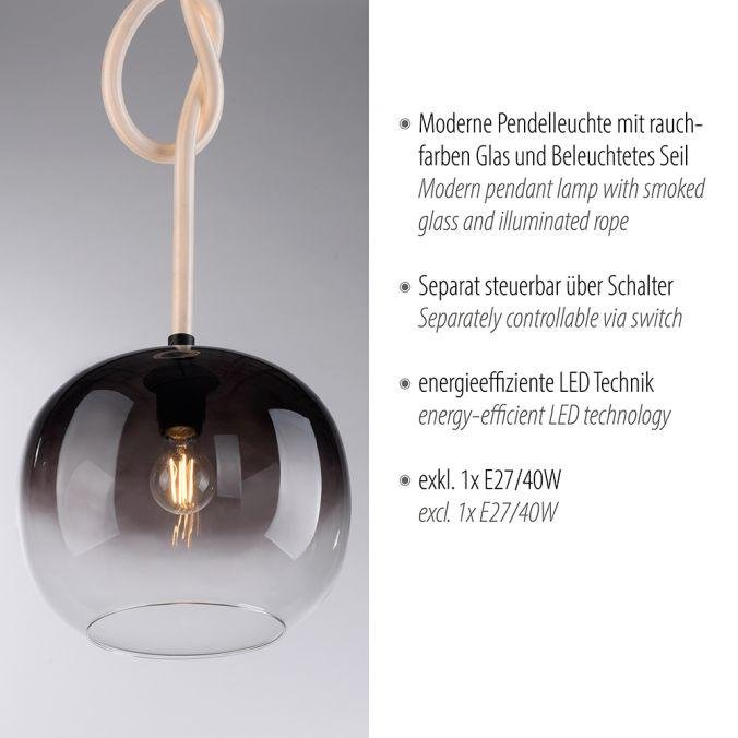 PN 2410-18 LED závěsné svítidlo LUMA černé, prosvětlené kabely, nastavitelná výška - PAUL NEUHAUS (obrázek 3)