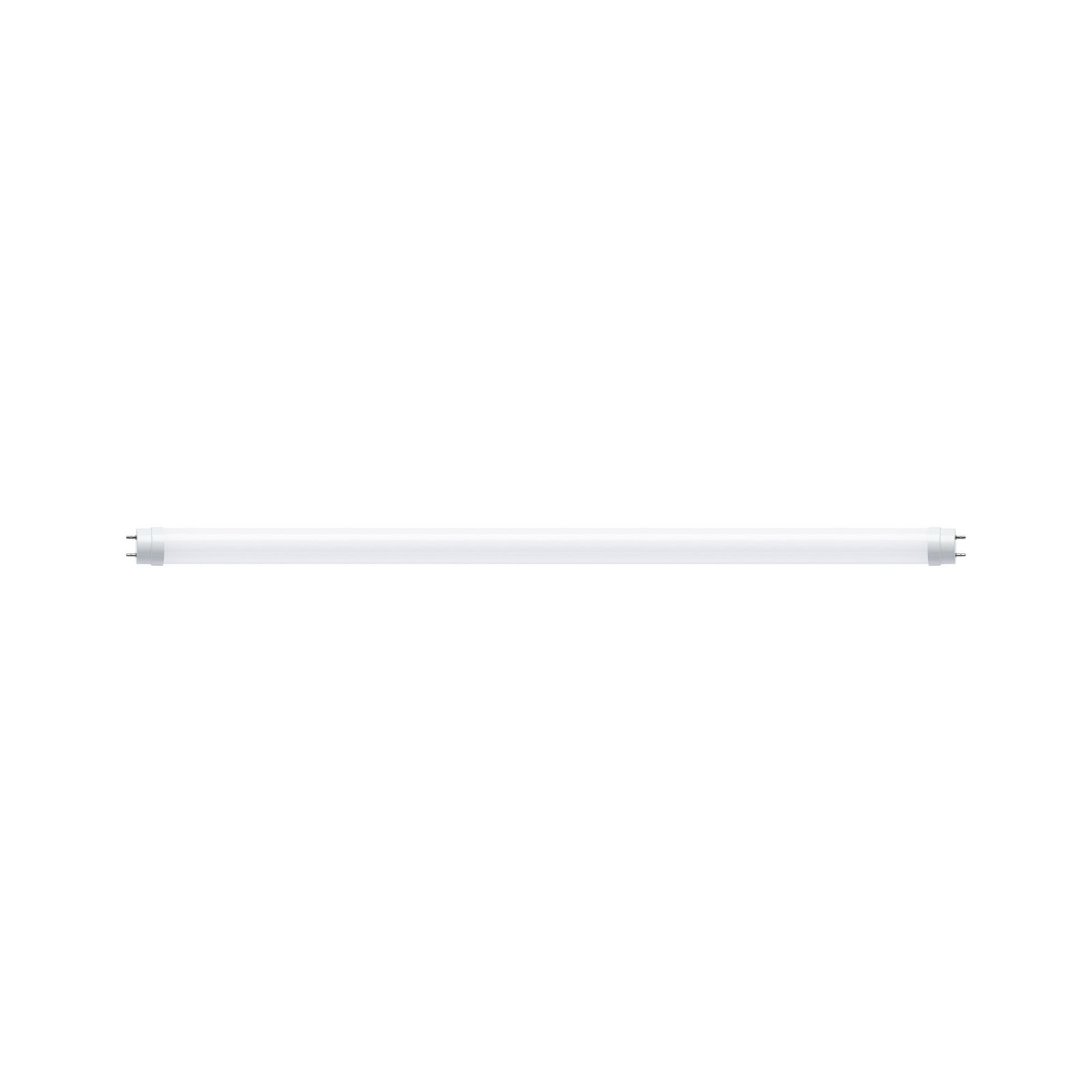 P 28993 Standard 230V LED trubka G13 604mm 9,5W 3000K opál - PAULMANN (obrázek 2)