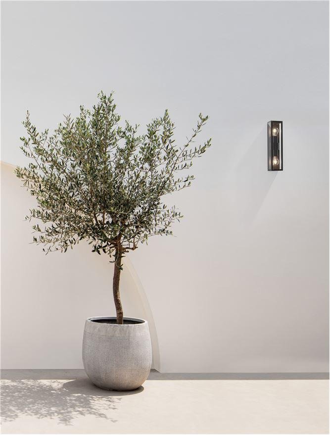 NV 9492442 Venkovní nástěnné svítidlo REGINA antracitový hliník a čiré sklo E27 2x12W 220-240V bez žárovky IP65 - NOVA LUCE