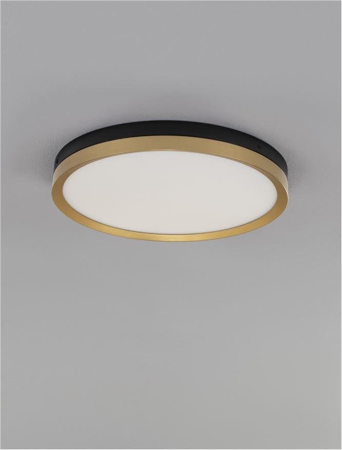 NV 9695236 Stropní svítidlo MR JOHN černá a mosaz zlatá LED 25.2W 3000K - NOVA LUCE