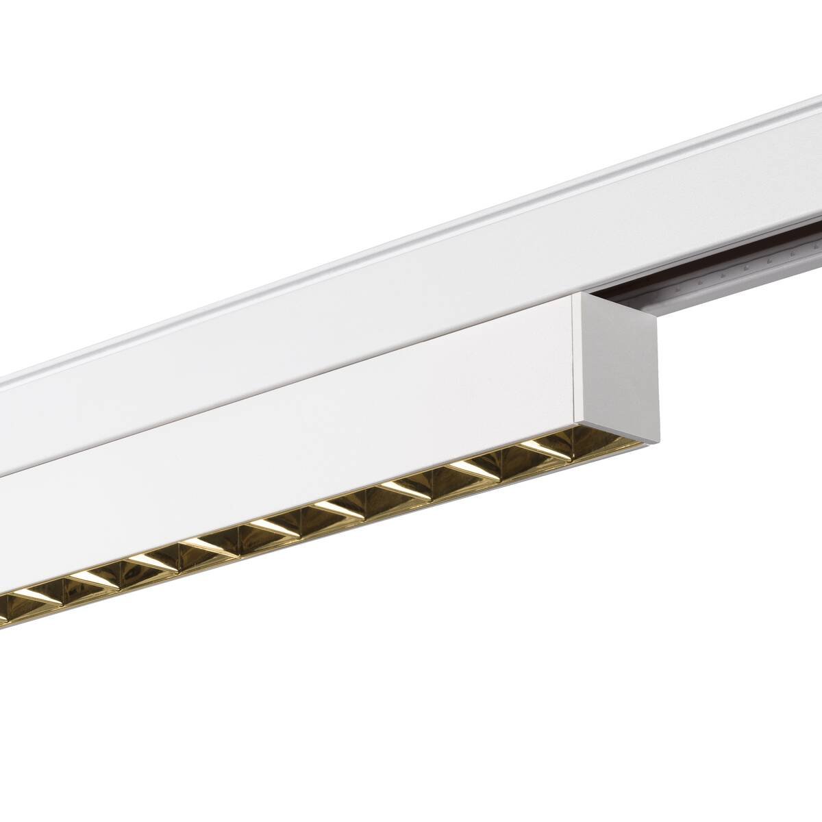LA 1006636 IN-LINE 44 48 V TRACK Darklight Reflector, DALI, spot, bílé/bílé, 14 W, 1230 lm, 3000 K, CRI90, 35° - BIG WHITE (SLV) (obrázek 4)