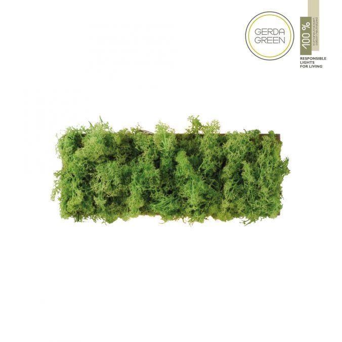 LD 15637-66 GREEN CARLO LED nástěnné svítidlo islandský mech teplá bílá 3000K akustické - LEUCHTEN DIREKT / JUST LIGHT