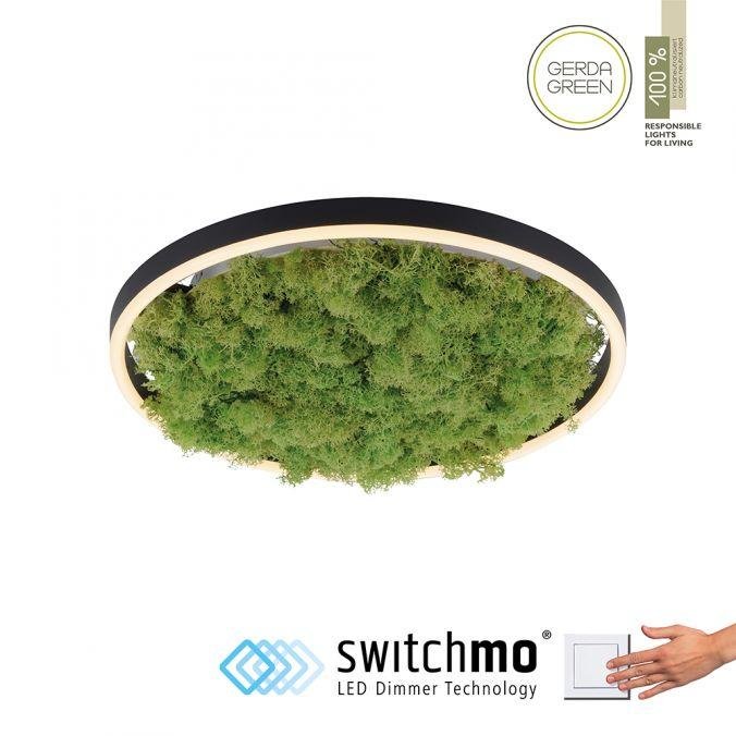 LD 15391-66 GREEN RITUS LED stropní svítidlo 40x40 islandský mech Switchmo 3-krokové stmívání 3000K akustické - LEUCHTEN DIREKT / JUST LIGHT