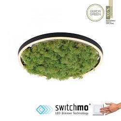 Obrázek pro produkt GREEN RITUS LED stropní svítidlo 40x40 islandský mech Switchmo 3-krokové stmívání 3000K akustické - LEUCHTEN DIREKT / JUST LIGHT