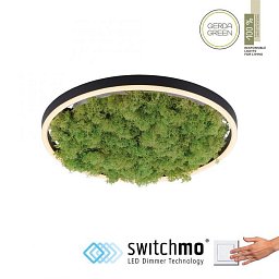 Obrázek pro produkt GREEN RITUS LED stropní svítidlo 40x40 islandský mech Switchmo 3-krokové stmívání 3000K akustické - LEUCHTEN DIREKT / JUST LIGHT