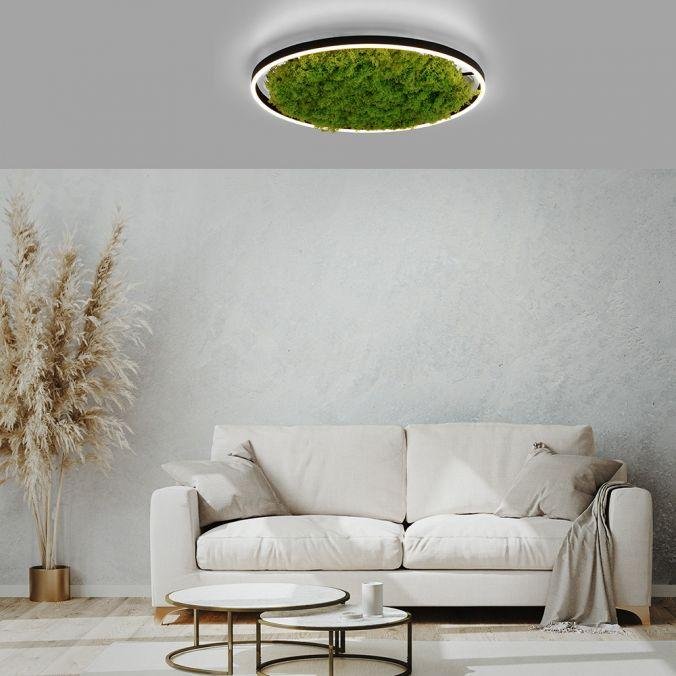 LD 15392-66 GREEN RITUS LED stropní svítidlo 60x60 islandský mech Moos Switchmo 3 krokové stmívání 3000K akustické - LEUCHTEN DIREKT / JUST LIGHT (obrázek 2)