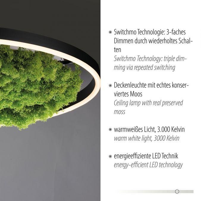 LD 15392-66 GREEN RITUS LED stropní svítidlo 60x60 islandský mech Moos Switchmo 3 krokové stmívání 3000K akustické - LEUCHTEN DIREKT / JUST LIGHT (obrázek 3)