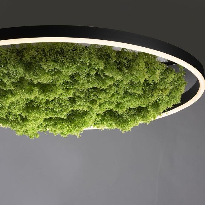 LD 15392-66 GREEN RITUS LED stropní svítidlo 60x60 islandský mech Moos Switchmo 3 krokové stmívání 3000K akustické - LEUCHTEN DIREKT / JUST LIGHT (obrázek 4)