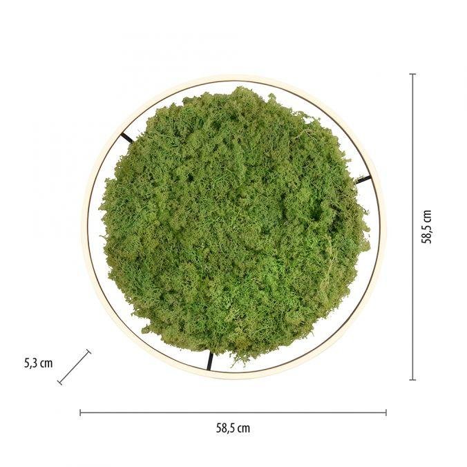 LD 15392-66 GREEN RITUS LED stropní svítidlo 60x60 islandský mech Moos Switchmo 3 krokové stmívání 3000K akustické - LEUCHTEN DIREKT / JUST LIGHT (obrázek 6)